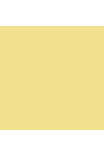 Spectra Color ورق تصوير كاناري A4 500 ورقة × 5 عبوات