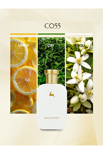 MUSCENT C055 Imagine 50 ml.