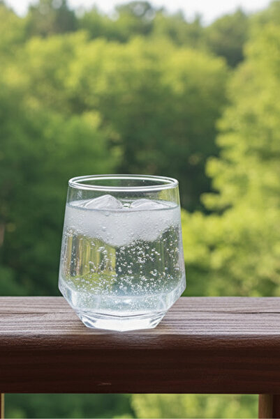 İpek Porselen زجاجة مياه زجاجية من زين سعة 6 أكواب - 340 مل شفافة