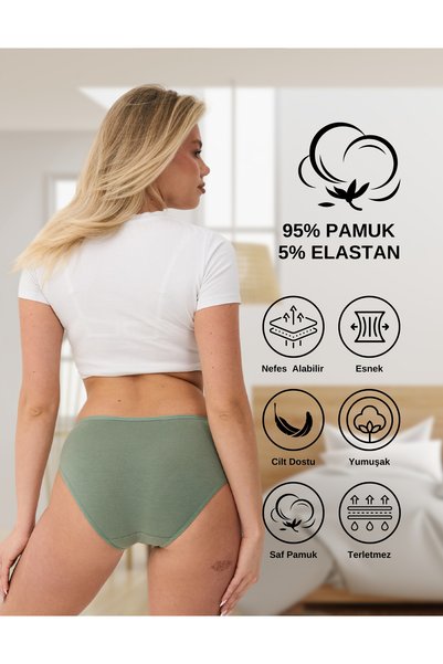 ALYA UNDERWEAR Women's Cotton Colored Bato / Hipster Slip Panties - Green, Smoked, Stone, a Brown, Ecru 5-Pack