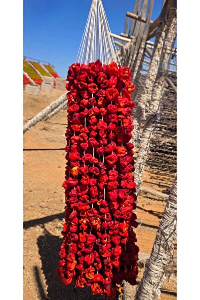 Doğal Gaziantep Dolmalık Biber (Acı) Kurusu (45-50 Adet)