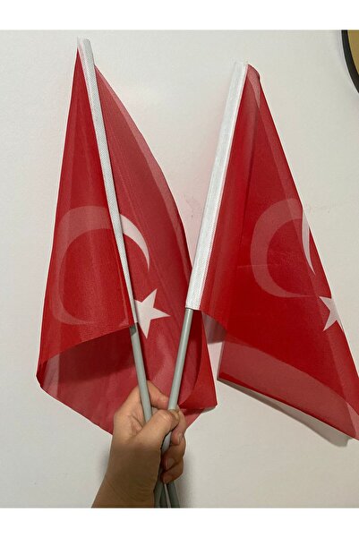 Genel Markalar Sopalı Türk Bayrağı - 40 Adet - 30x45cm Miting Bayrağı