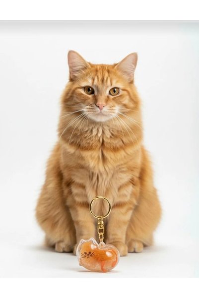 Yaratıcı sanatlar atölyesi Transparent Cat Feather Storage Capsule Gashapon Cat Feather Memory Gift Catlover Keychain Accessory