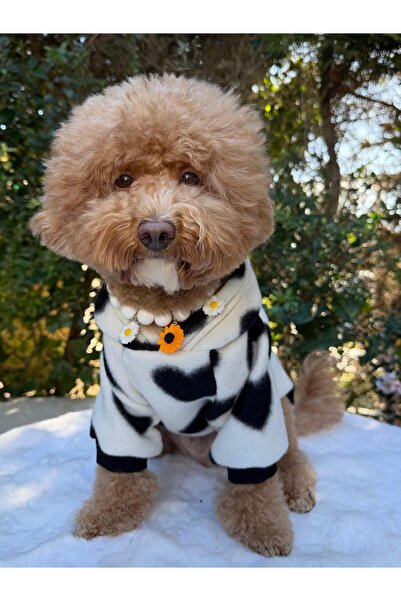 PATİBÖR Cute Heart Dog Sweatshirt - Thick Fleece