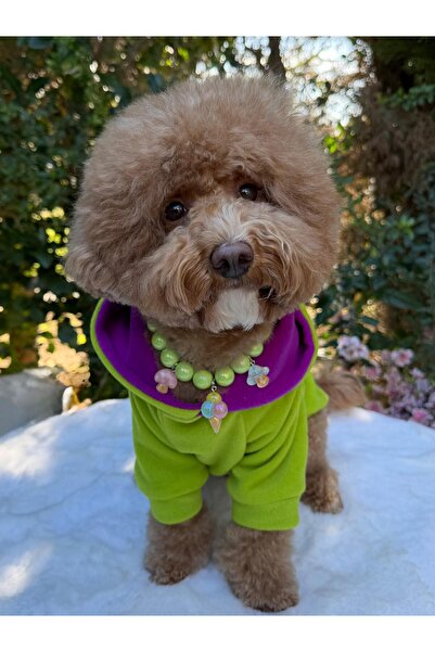 Yeşil Kapişonlu Kedi Köpek Sweathirt - Kedi Köpek Kıyafeti