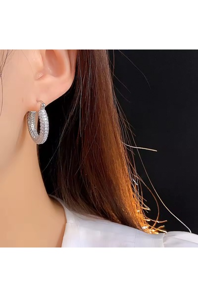 Siya Silver Special Series Zircon Stone Steel Hoop Earrings - Gift Boxed