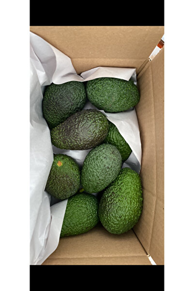 ARI ORGANIC 1kg Avokado taze hasat