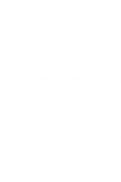 Pritt Stick 22 gr 1 Adet