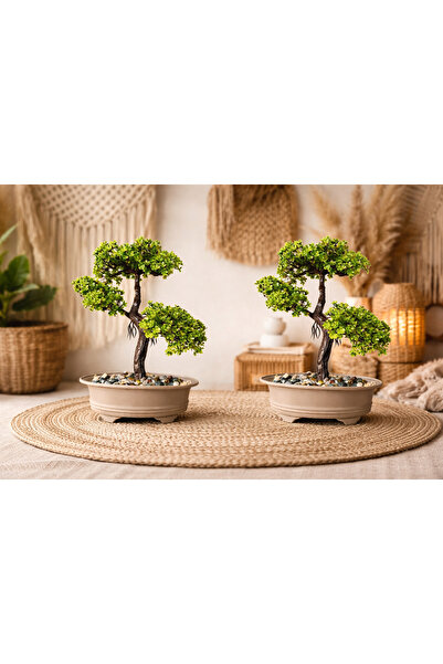 Lineva Dekoratif Bonsai Yapay Ağaç 2’li Set – Ev & Ofis Masa & Raf Dekoru