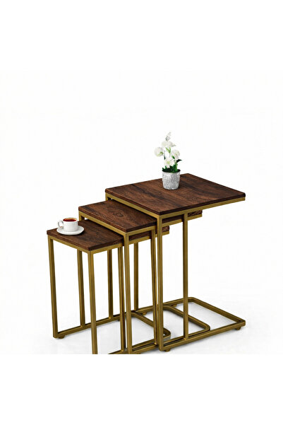 Riyes Tasarım Ahşap 3’lü Tekerlekli Zigon Sehpa Seti – Gold Metal Ayaklı – Mo...