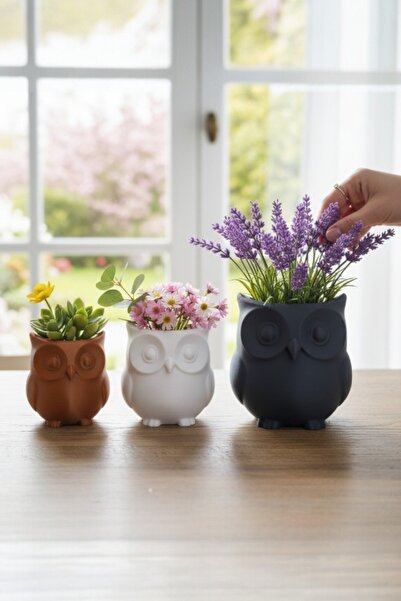 ProLaz 3’lü Dekoratif Baykuş Saksı Seti (6 cm – 8 cm – 11 cm) Modern Masa Bah...