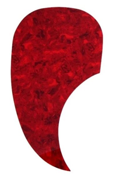 Raymond Joes واقي الجيتار PG101 - بيكجارد