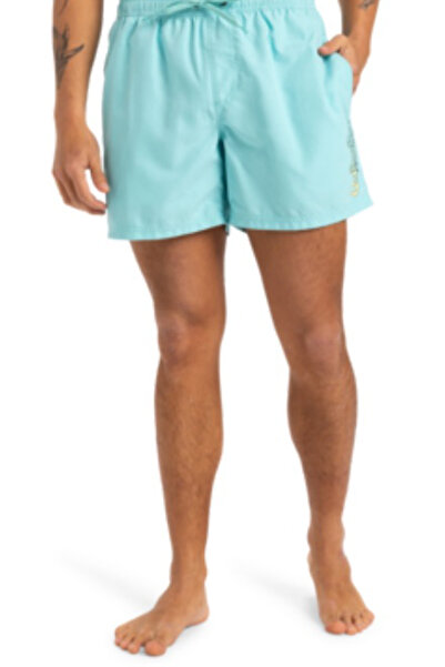 Quiksilver SPL FINELINE VOLLEY 15 Laci Erkek Deniz Şortu
