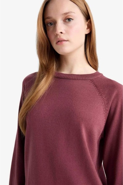 LUSHİGO Regular Fit Crew Neck Slit Basic Plain Knitwear Sweater Tunic 00090C