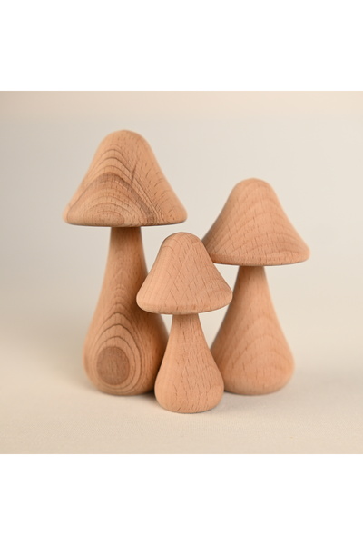 Zyt Tasarım Doğal Ahşap Mantar Süs Mantar Ham Ahşap Mantar