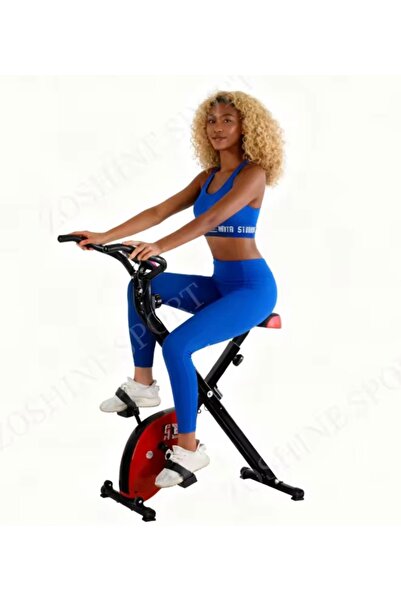 ALTIS Mk220 X Bike Dikey Kondisyon Bisikleti kırmıızı