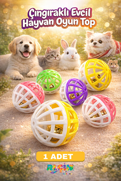 ALÇİN كرة لعب راتل للحيوانات الأليفة خاصة للقطط والكلاب