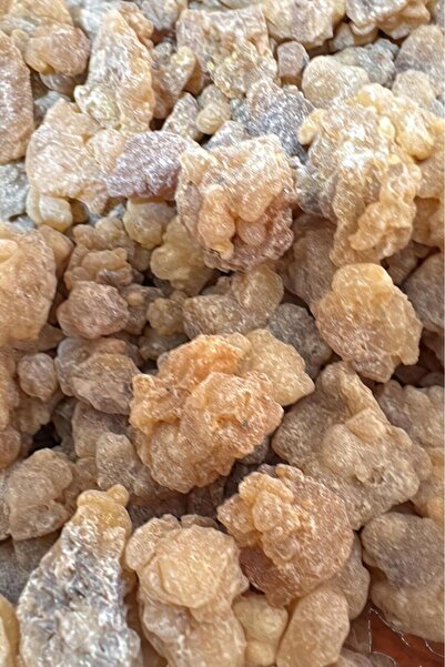 GÜZELYÜZ AVM Doğal Bahur 50 gr | Doğal Akgünlük Sakızı Sığla Ağacı Reçine Gün...