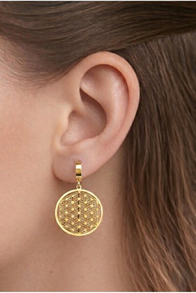 aurora dükkan Steel Flower of Life Earring