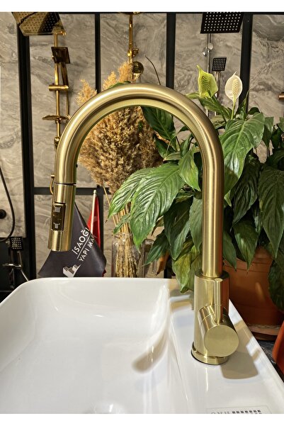 İSAOĞLU YAPI صنبور مطبخ ذهبي غير لامع، نظام تمديد حلزوني، صنبور حوض ذهبي مصقو...