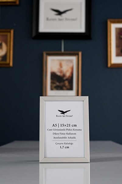 Raven Art Studio Ermitaj 15cm x 21cm Argintiu pentru tablouri, fotografii, do...