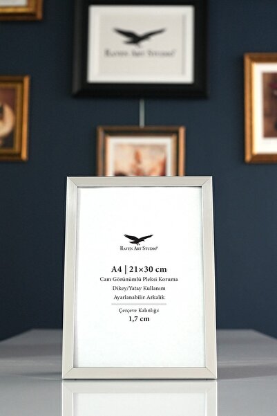 Raven Art Studio إطار وثائق فوتوغرافي فضي مقاس A4 من Ermitaj، مقاس 21 سم × 30...