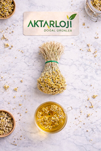 aktarloji 1 Adet Civan Perçemi Otu Bağ / Yeni Mahsül / Katkısız & Doğal