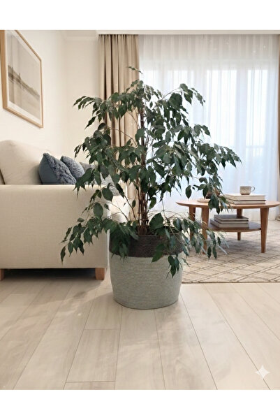 bayram taşcıoğlu home desing 35*35 Gri,Antrasit çok amaçlı düzenleyici çamaşı...