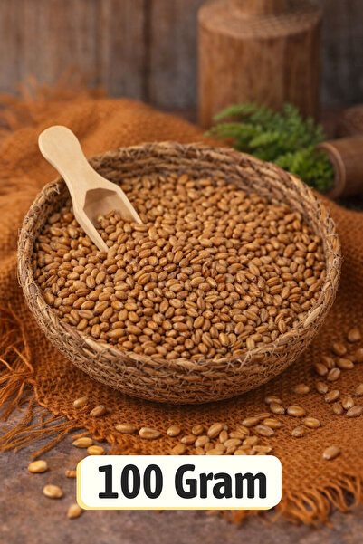 ÜLKÜ KURUYEMİŞ (100 GR) Buğday Kavurgası %100 Taze Kavrulmuş