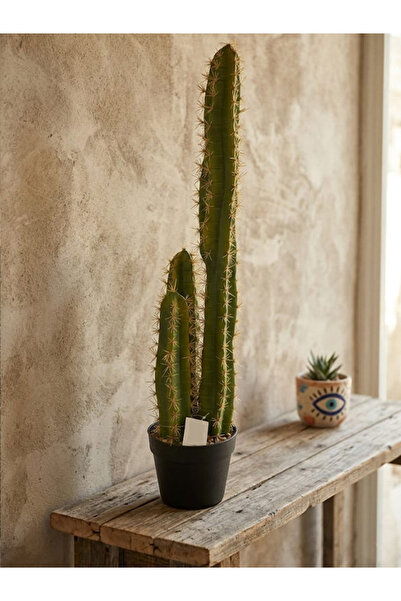 TrentonGCC AZ4777 – نبات صبار صناعي طويل في أصيص، صبار أخضر زخرفي واقعي 80 سم