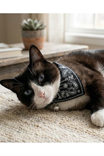 Goshıkı طوق قطط باللون الأسود مع وشاح وجرس