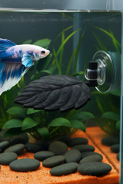 MD×DEKO Beta Dinlenme Alanı ⟢ Siyah ⟢ Betta Balığı Dinlenme Yapragı ⟢ MD İzmi...