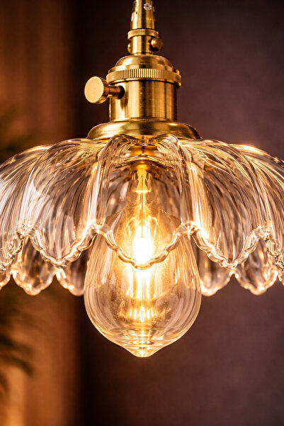 Luna Lighting Petra Model Şeffaf Cam Klasik Oturma Odası Salon Mutfak Antre Sarkıt Tekli Avize
