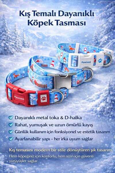 2 cm Ayarlanabilir Yumuşak Dayanıklı Kolon Köpek Tasması – Orta Irk, Dayanıklı Kırmızı Tokalı