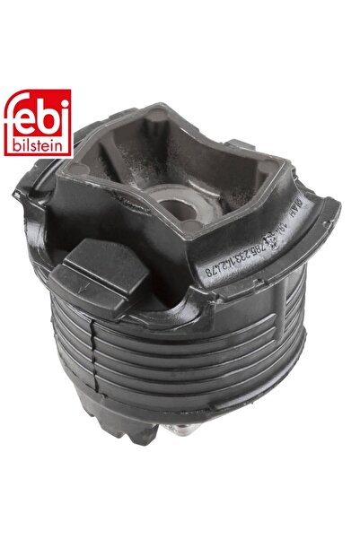 Other جلدة كمر الكبيرة