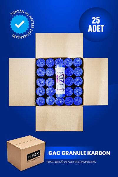 H-MAX Reverse Osmosis System 25 Adet Su Arıtma Cihazı GAC Karbon Filtre (Açık...