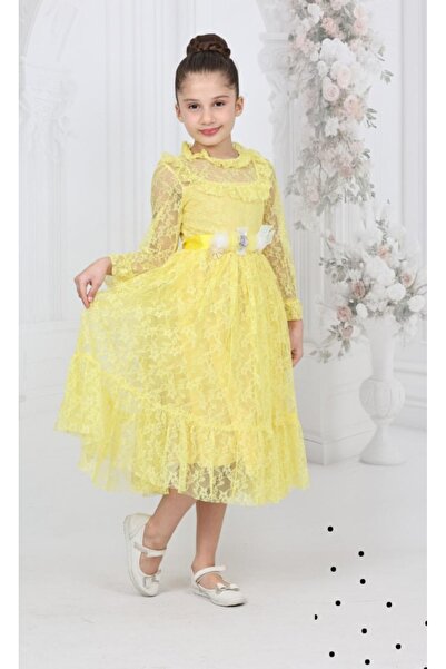 BEGONYA BEBECE KIDS Girls' Dress Seasonal Festive Show Wedding Invitation