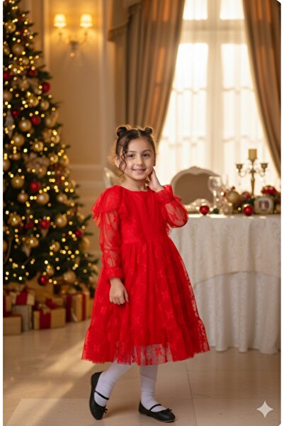 BEGONYA BEBECE KIDS Girls' Dress Seasonal Festive Show Special Occasion Celeb...