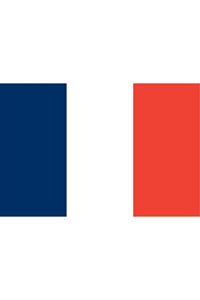 Rekbay Fransa Bayrağı 20x30cm