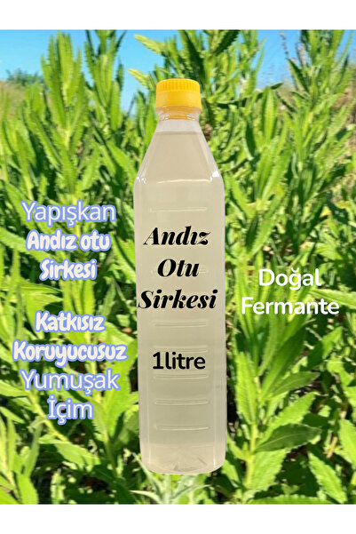 Kral Yöresel Ürünler Akhisar Yapışkan Andız Otu Sirkesi 1 litre