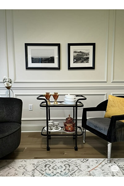 private house Modern glass serving trolley - Premium stainless steel frame, b...