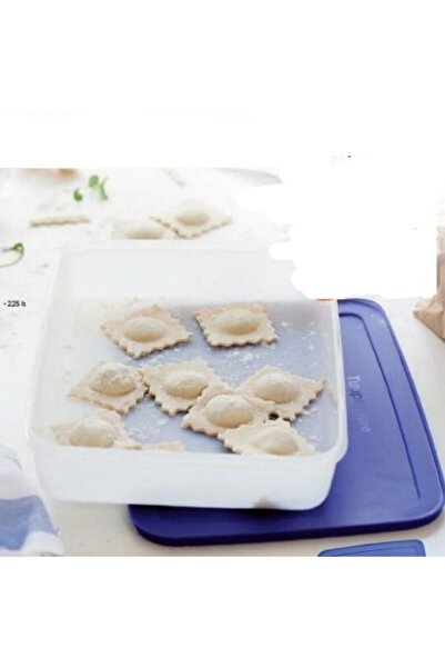 Tupperware Alaska Series Deep Freezer Storage Container