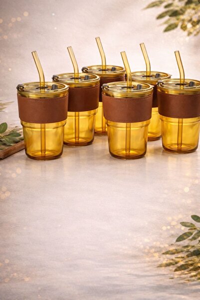 Store Deri kılıflı pipetli cam bardak 6 adet