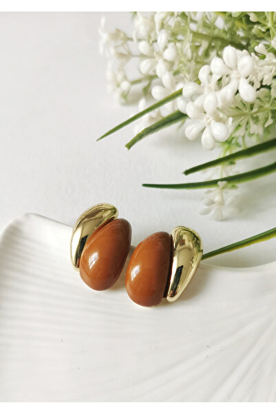 Halley Concept Terra glow oval brown earrings