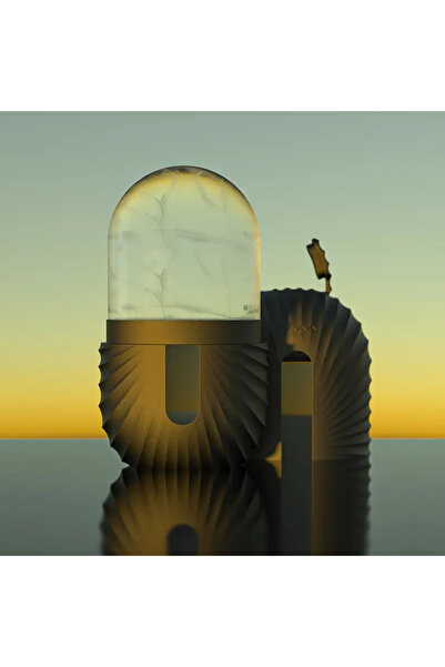 choice2 Black Reusable Ice Face Roller Beauty Tools Ice Facial Rollers Mold F...