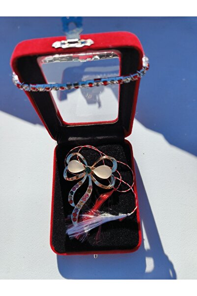Nu 3 sets brooch and bracelet in Velvet box