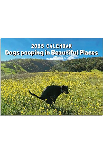 Arabest 2025 Wall Calendar, Time Planning Calendar, Perfect Interest Gift for...