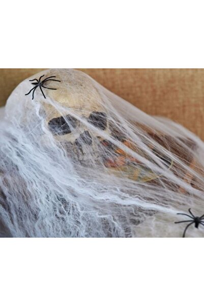 zola Decorative spider web set, with 2 figurines included, realistic look, white