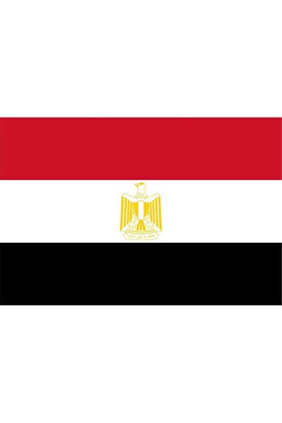 Rekbay Mısır Bayrağı 20x30cm