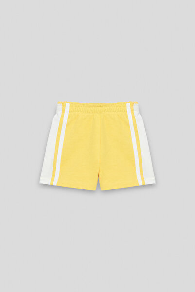NBT BSC Baby Boy Colorful Shorts Suit
